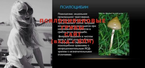 тгк Арсеньев