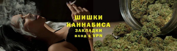 тгк Арсеньев