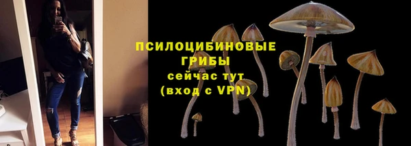 тгк Арсеньев