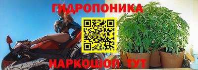 стаф Отрадный