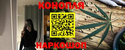 стаф Отрадный