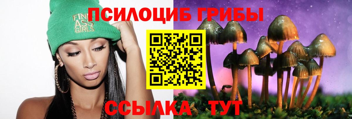 Псилоцибиновые грибы Psilocybe  Вход с VPN  Псилоцибиновые грибы Psilocybine cubensis  купить наркотик  Нарьян-Мар 