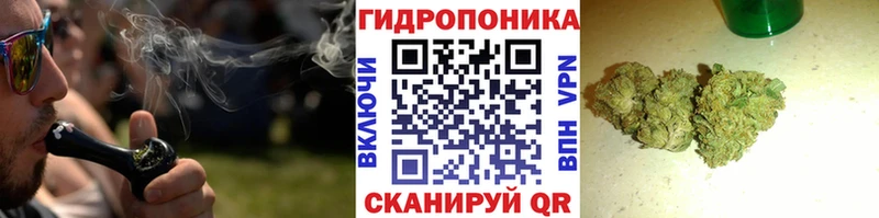 Бошки Шишки OG Kush  цена   shop как зайти  Нарьян-Мар 